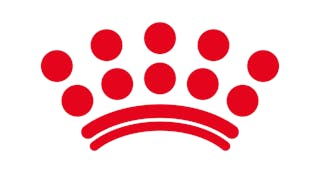 Pet4u stand-in logo